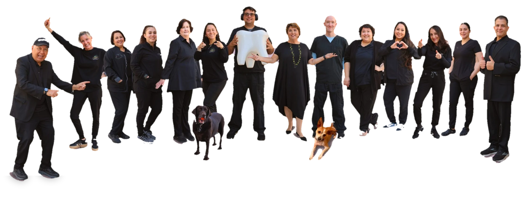 My Scottsdale Dentist team — Dr. Poulos, Dr. Elannan, Dr. Wassef and staff at 9070 E Desert Cove Ave, Scottsdale AZ